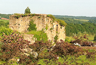 ancient monument application
